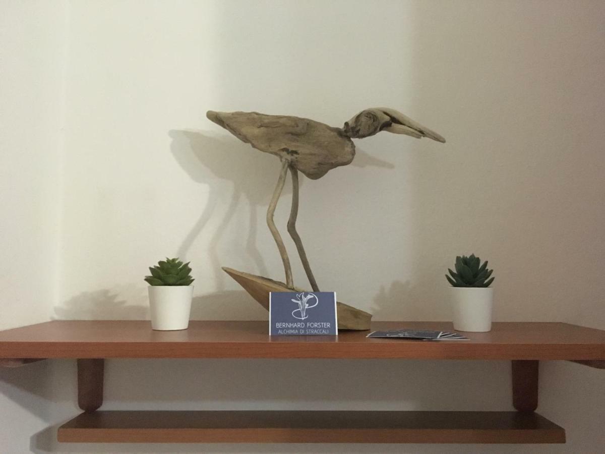 Il Mio Piccolo Angolo Di Mare Apartment เวียเรจโจ ภายนอก รูปภาพ